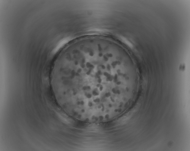 X0000092331259200709281419