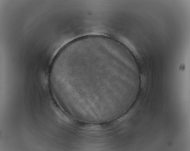 X0000092331260200709281419