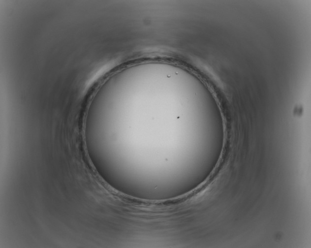 X0000092331261200709281419