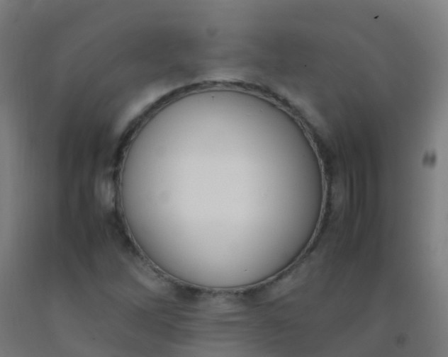 X0000092331262200709281419
