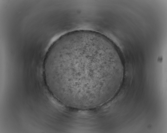 X0000092331264200709281419