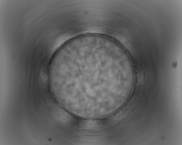 X0000092331266200709281419