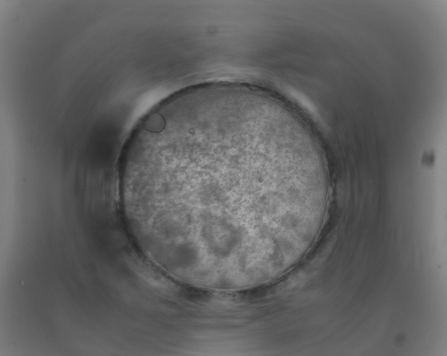 X0000092331267200709281419