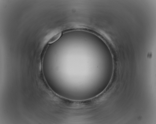 X0000092331269200709281419
