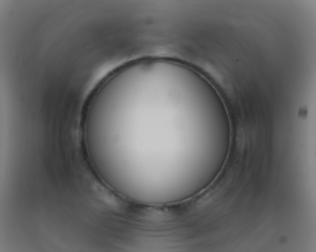 X0000092331270200709281419