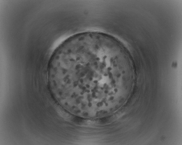 X0000092331271200709281419