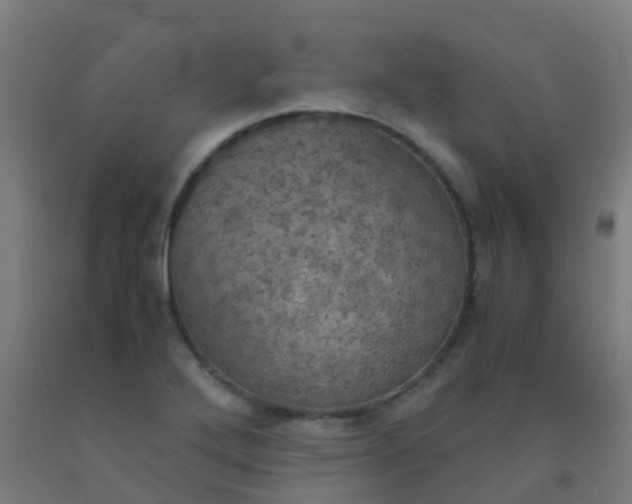 X0000092331272200709281419