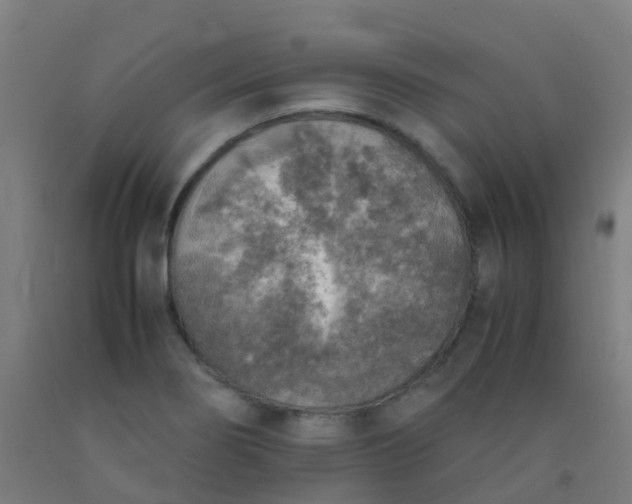 X0000092331274200709281419