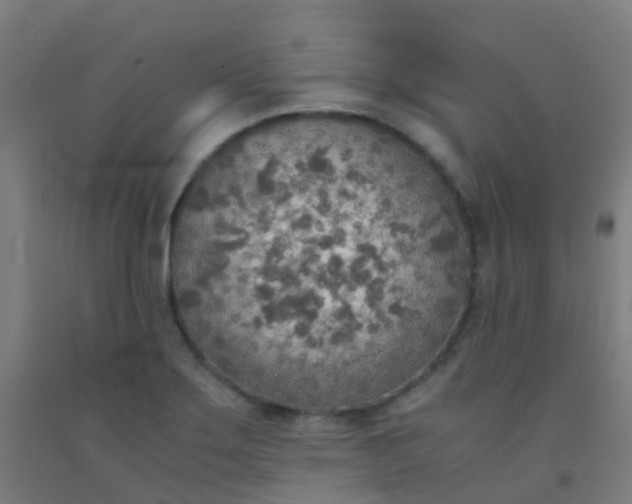 X0000092331275200709281419