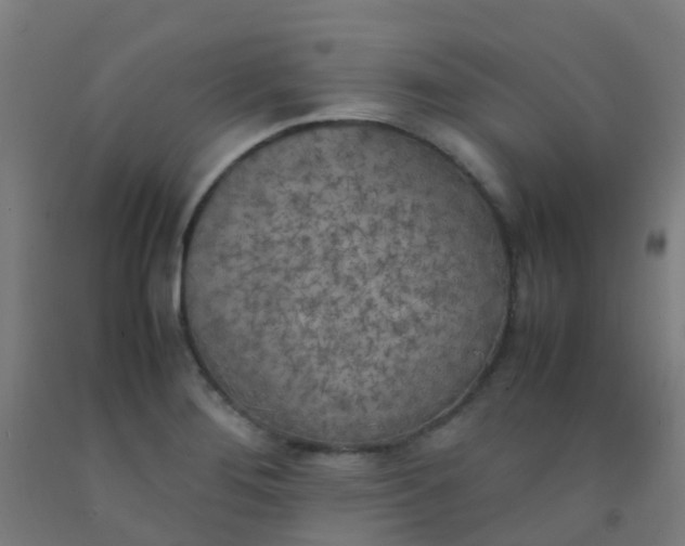 X0000092331276200709281419