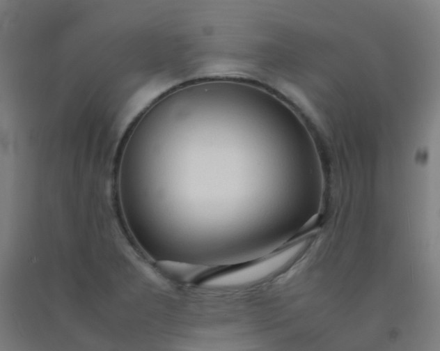 X0000092331277200709281419