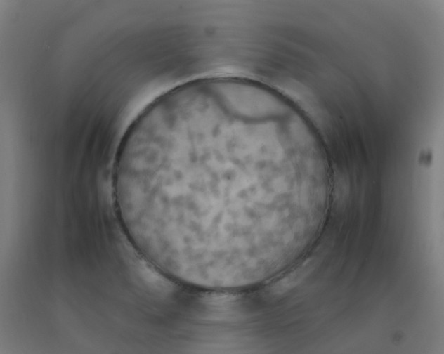 X0000092331278200709281419