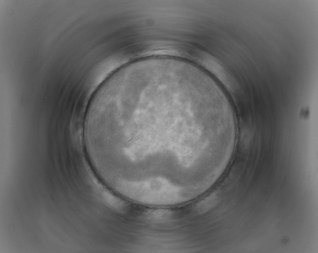 X0000092331282200709281419