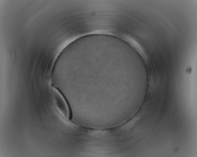 X0000092331284200709281419