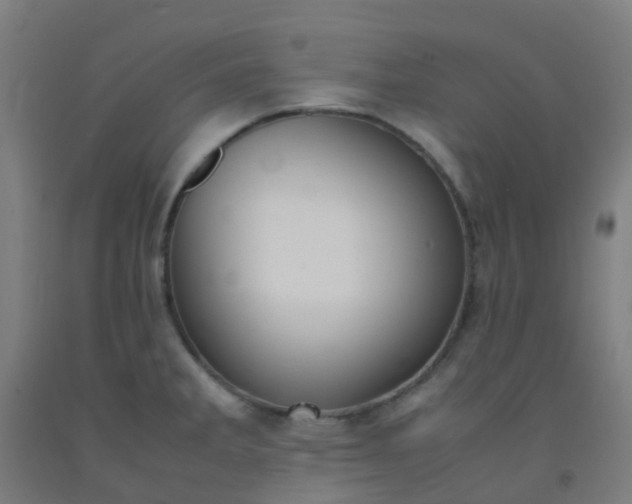 X0000092331285200709281419