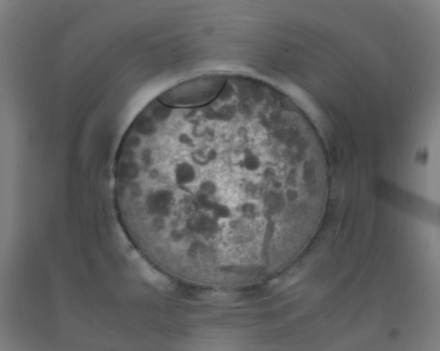 X0000092331287200709281419