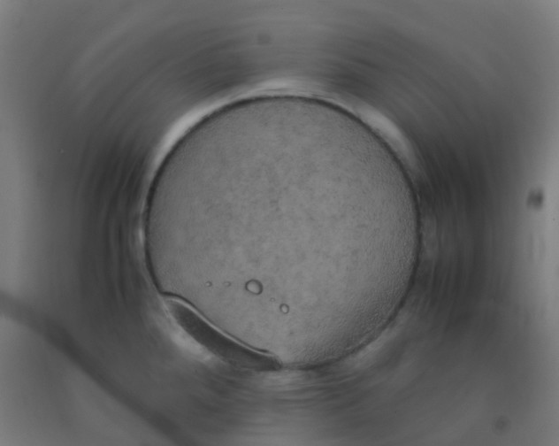 X0000092331288200709281419