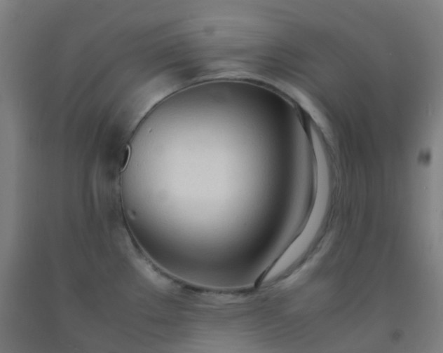 X0000092331289200709281419