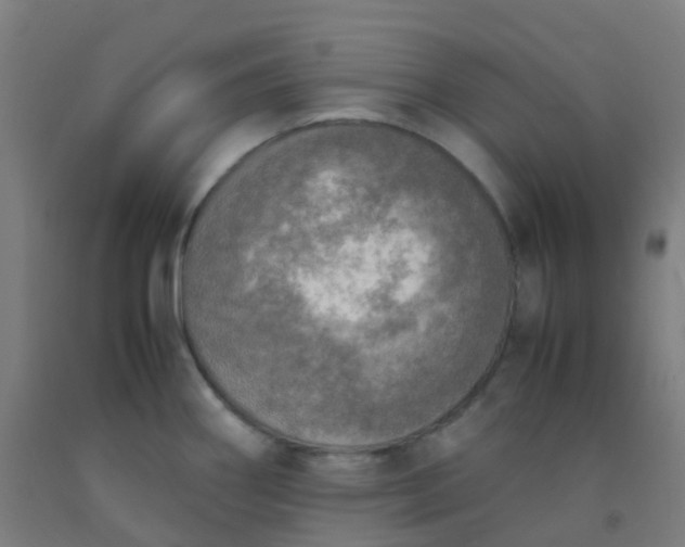 X0000092331290200709281419