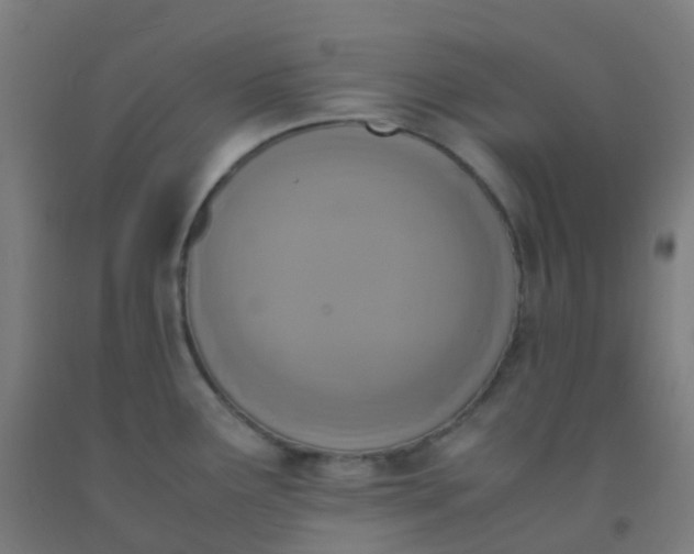 X0000092331291200709281419