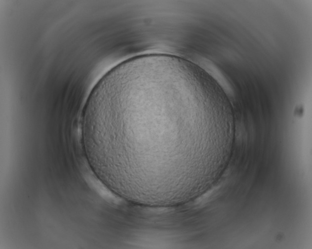 X0000092331292200709281419