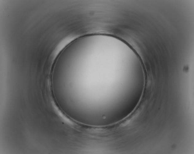 X0000092331293200709281419