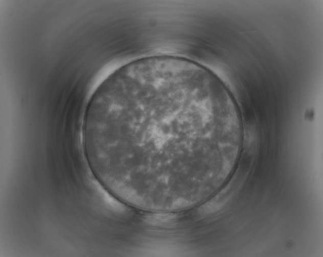 X0000092331294200709281419