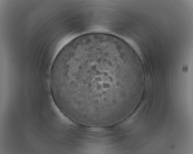 X0000092331295200709281419