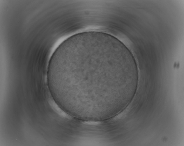 X0000092331296200709281419