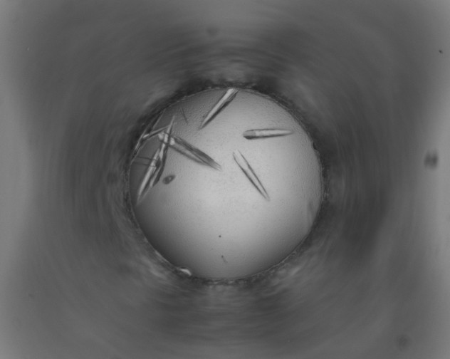 X0000092331297200709281418