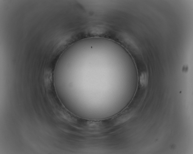 X0000092331299200709281418