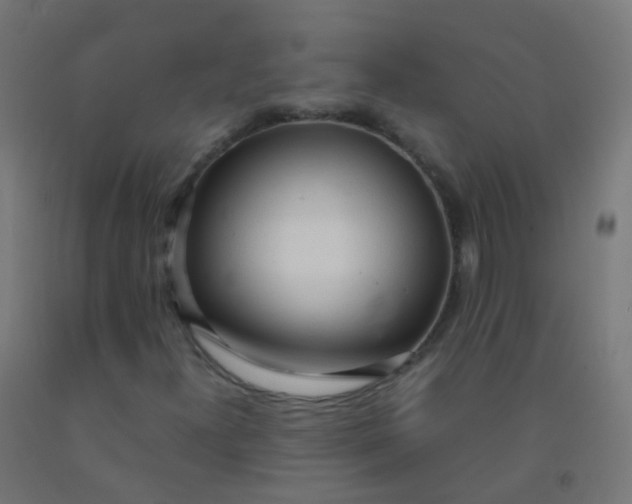 X0000092331300200709281418