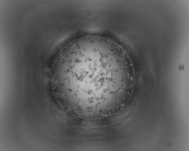 X0000092331301200709281418
