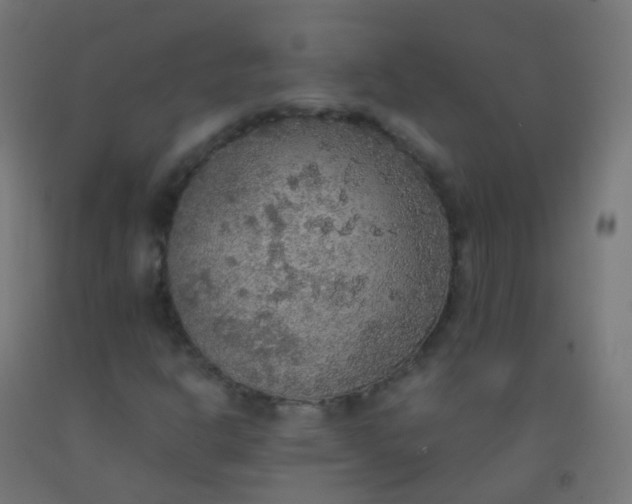 X0000092331302200709281418