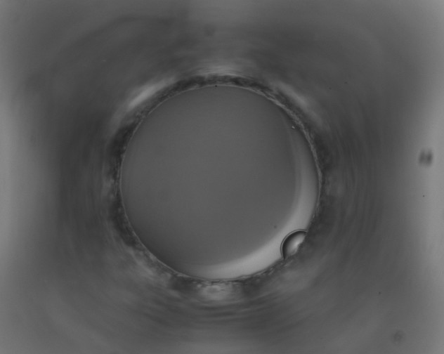 X0000092331303200709281418