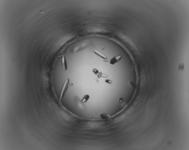 X0000092331305200709281418