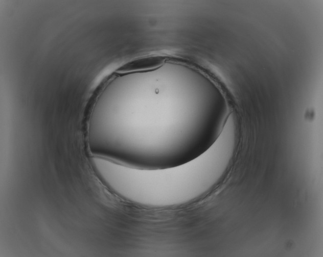 X0000092331308200709281418