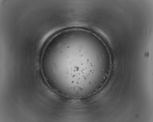 X0000092331310200709281418