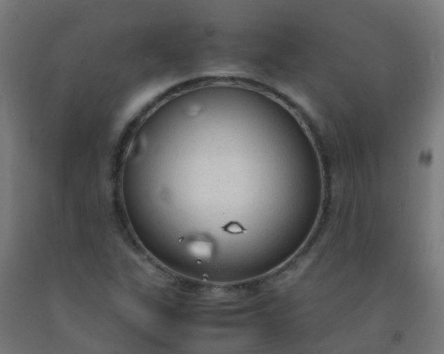 X0000092331311200709281418