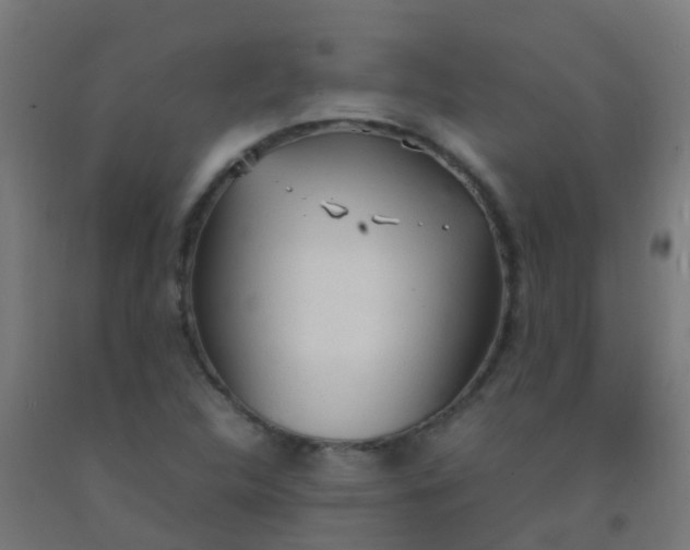 X0000092331312200709281418