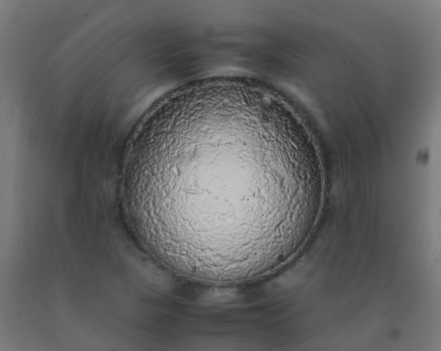 X0000092331313200709281418