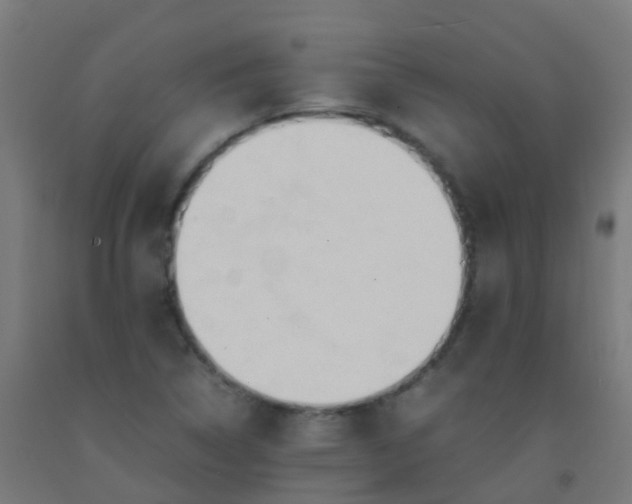 X0000092331314200709281418