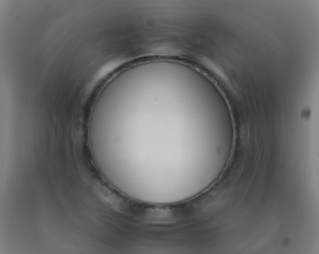 X0000092331315200709281418