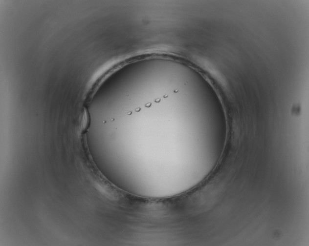 X0000092331316200709281418