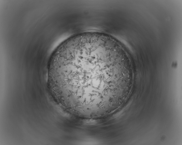 X0000092331317200709281418