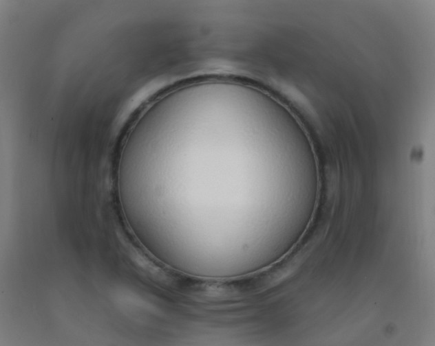 X0000092331318200709281418