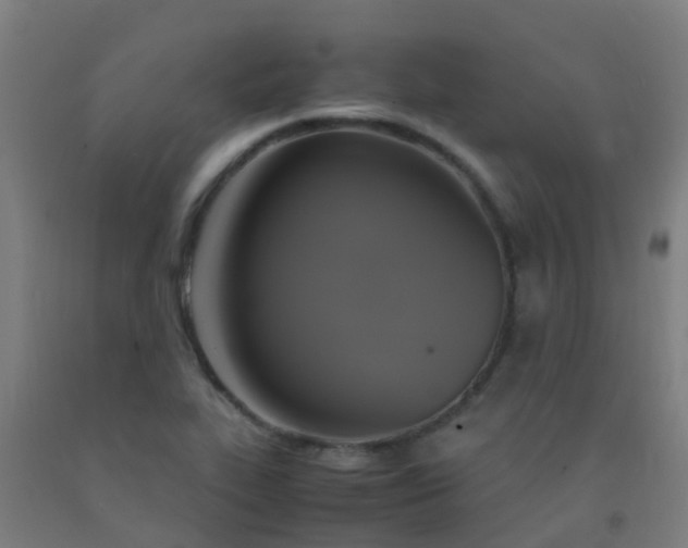 X0000092331319200709281418