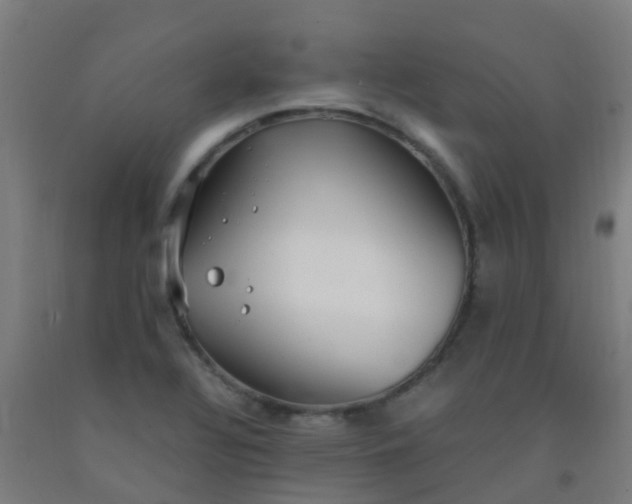 X0000092331320200709281418