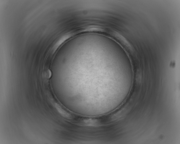 X0000092331321200709281418