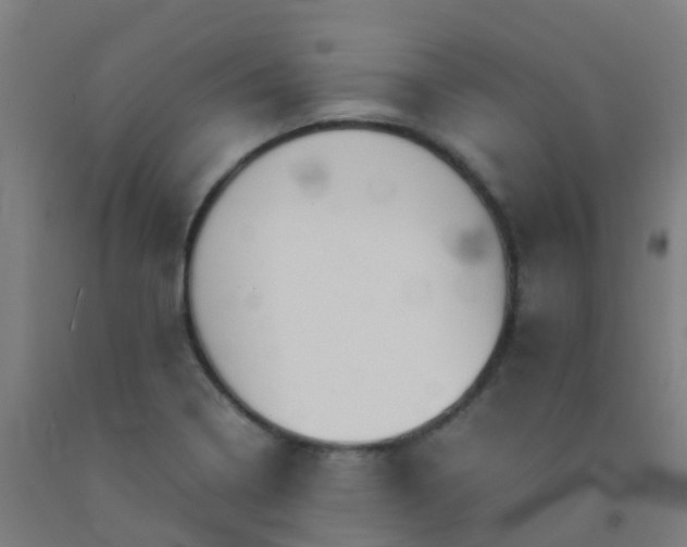 X0000092331322200709281418